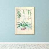 Knoflook en andere planten canvas afdruk (Insitu (Houten vloer))