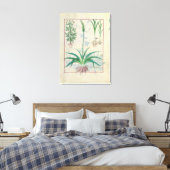 Knoflook en andere planten canvas afdruk (Insitu (Slaapkamer))