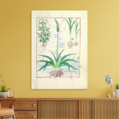 Knoflook en andere planten canvas afdruk (Insitu (Woonkamer))