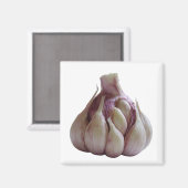 Knoflook keukenmagneet magneet (Voorkant / Achterkant)