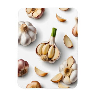 knoflook magneet