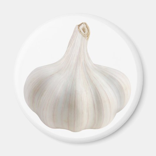 Knoflook Magneet (Voorkant)