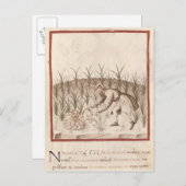 Knoflook oogsten briefkaart (Voorkant / Achterkant)