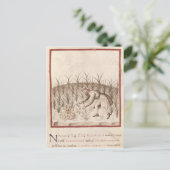 Knoflook oogsten briefkaart (Staand voorkant)