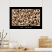 Knoflook op de Franse markt voor poster (Keuken)