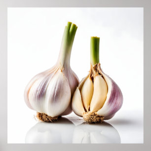 Knoflook Poster