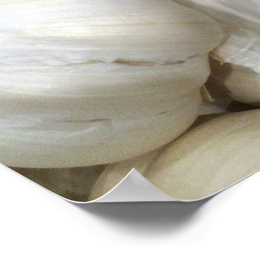 Knoflook Poster (Hoek)