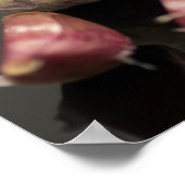 Knoflook Poster (Hoek)