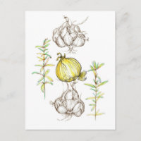 Knoflook Uien Keuken Koken Kruiden Tuin Plant