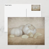 Knoflook, vers briefkaart (Voorkant / Achterkant)