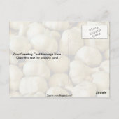 Knoflook, vers briefkaart (Achterkant)