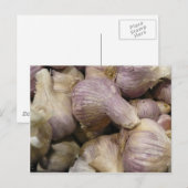 Knoflook, vers briefkaart (Voorkant / Achterkant)