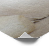 Knoflook, vers poster (Hoek)