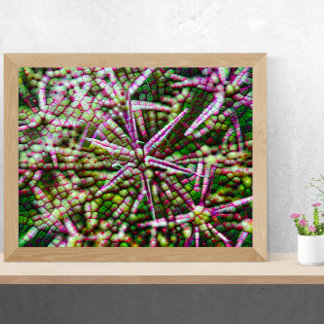 Knoflookbloem cellulaire Abstracte muurkunst Canvas Afdruk