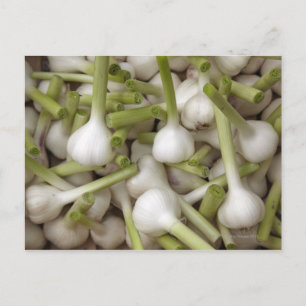 Knoflookbollen Briefkaart