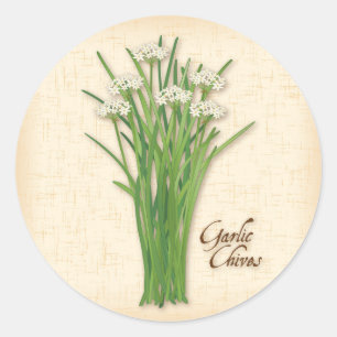 KnoflookChives Herb Round Stickers