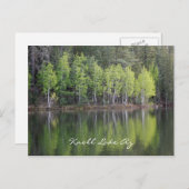 Knoll Lake Arizona Briefkaart (Voorkant / Achterkant)