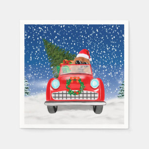 KNOODHOOGTE-RIJVAARTUIGEN IN Sneeuw Servet