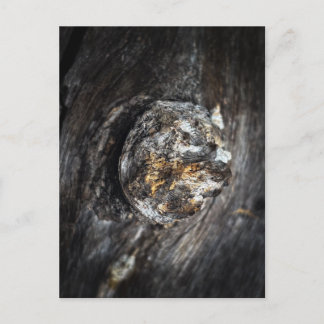 Knoop in het hout briefkaart