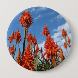 Knop Aloe Arborescens Ronde Button 4,0 Cm