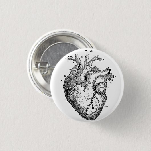 Knop Anatomische Human Heart Diagram Ronde Button 3,2 Cm (Voorkant /achterkant)