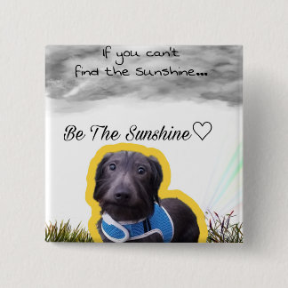 Knop Dachshund Vierkante Button 5,1 Cm