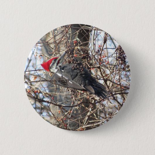 Knop Gekopieerd Woodpecker Ronde Button 5,7 Cm (Voorkant)