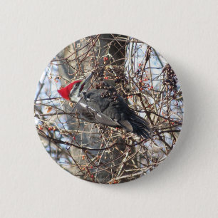 Knop Gekopieerd Woodpecker Ronde Button 5,7 Cm