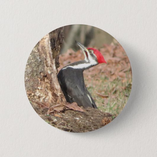 Knop Gekopieerd Woodpecker Ronde Button 5,7 Cm (Voorkant)