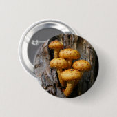 Knop Golden Mushroom ~ Ronde Button 5,7 Cm (Voorkant /achterkant)