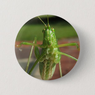 Knop Katydid ~ Ronde Button 5,7 Cm
