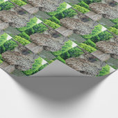 Knop op boomstam, Knar, Natuur groen Cadeaupapier (Hoek)