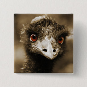Knop Ostriches Vierkante Button 5,1 Cm