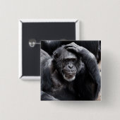 Knop Oude chimpansee Vierkante Button 5,1 Cm (Voorkant /achterkant)