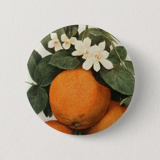 Knop sinaasappels ronde button 5,7 cm (Voorkant)