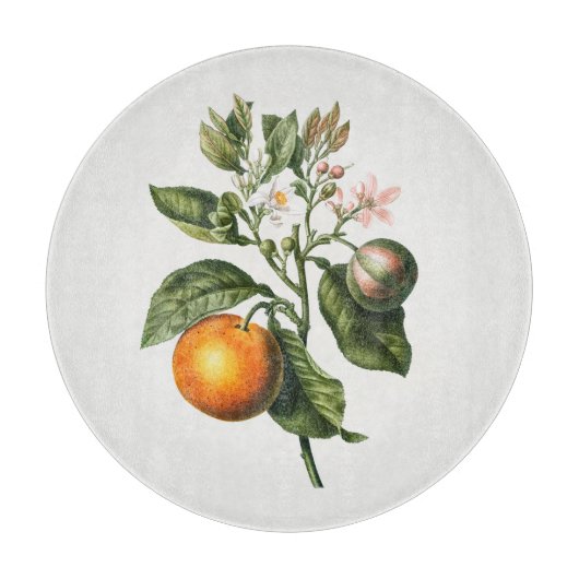 KNORMSTORD: BITTER ORANJE BLOSSOM SNIJPLANK (Voorkant)