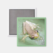 Knorretje Magneet (Voorkant / Achterkant)