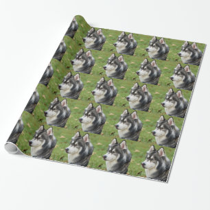 knorrig cadeaupapier