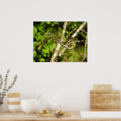 Knotslibellen Poster (Keuken)