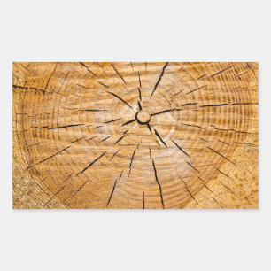 Knotty Wood Slice of Life Rechthoekige Sticker