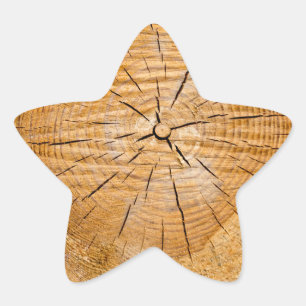 Knotty Wood Slice of Life Ster Sticker