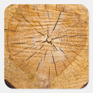 Knotty Wood Slice of Life Vierkante Sticker