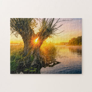 Knotwilg bij nevelige rivier zonsopgang legpuzzel