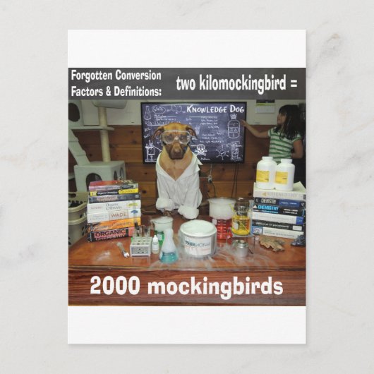 Knowledge Dog vergeten conversie-kilomockingvogel Briefkaart (Voorkant)