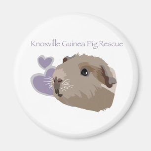 Knoxville Guinea Pig Rescue Magnet Magneet