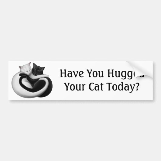 Knuffel een kat bumpersticker (Voorkant)