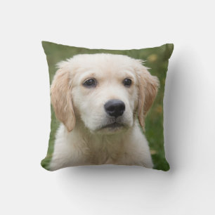 Knuffel Hond Dekenkussen Kussen