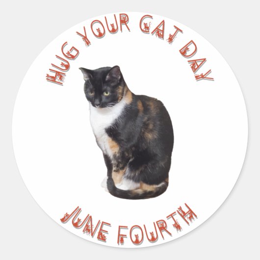 Knuffel je kattendag 4 juni ronde sticker (Voorkant)