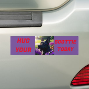 Knuffel je Scottie vandaag Bumpersticker