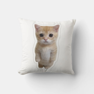 Knuffel Oranje Staand Kattenpoesje Overtrek Kussen